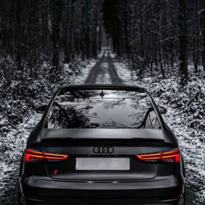 Audi-RS3-Saloon-back.jpeg